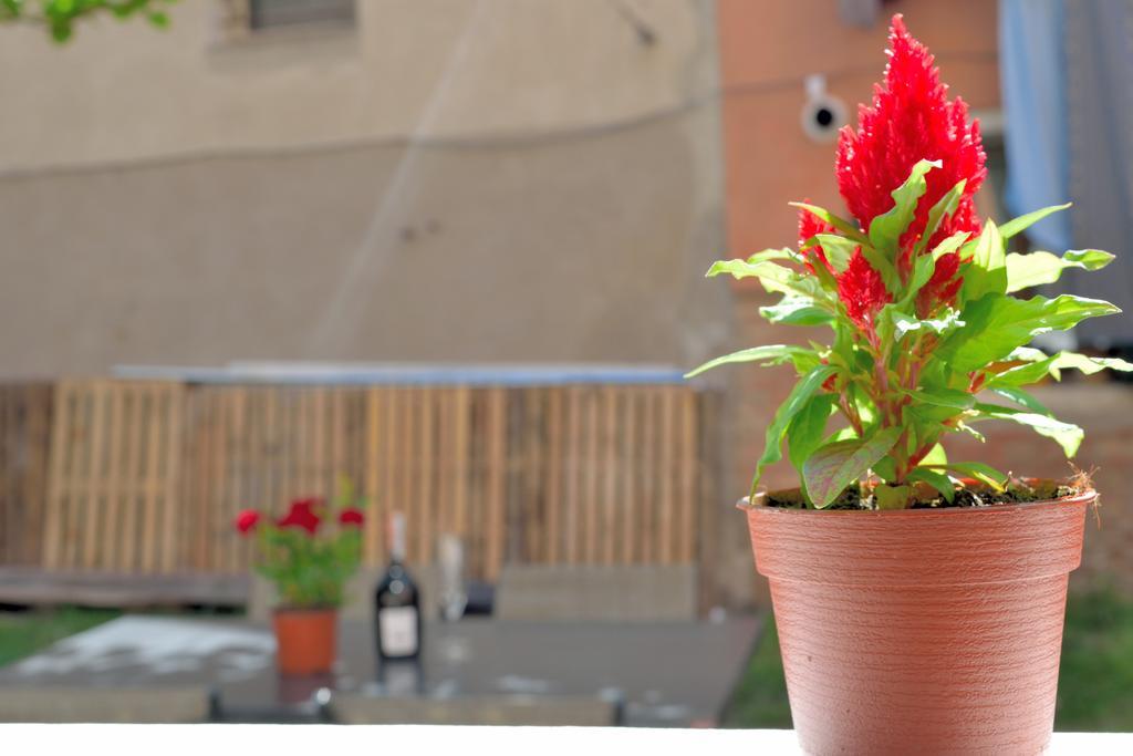 Apartment Casa Bella *